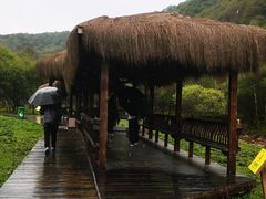 -大水川景区