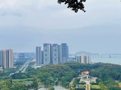 -南沙蒲洲花园