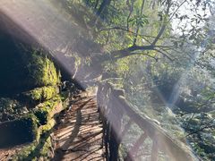 -碧峰峡风景区