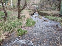-秦岭终南山世界地质公园翠华山景区