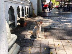 -大树下海鲜饭店