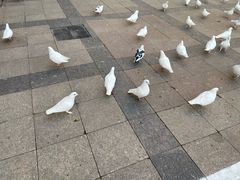 -王府井奥莱棋盘山小镇