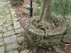 -皤滩古镇