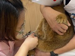 -全心全意连锁动物医院·特色中医诊疗(会城门分院)