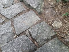 -玉苍山国家森林公园