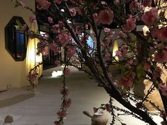 -九朝会昆曲·宴(望京店)