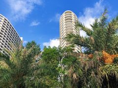 -巽寮湾