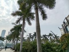 -白鹭洲公园
