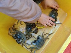 -蟹天蟹地农家菜·阳澄湖大闸蟹(浅水湾店)