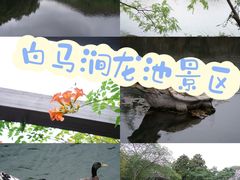 -白马涧龙池景区