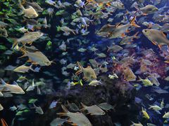 -成都浩海立方海洋公园