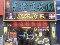 -秦君宝手擀菠菜面(金花路店)