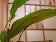 -小蓝鲸湖北菜(八一路店)