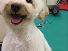 -佳雯宠物医院(四明中路分院)