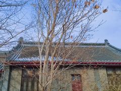 -慈恩寺