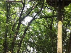 -WeLope紫金山探险公园