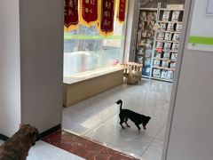 -瑞鹏宠物医院·超声·骨科·奇麟分院(蜀都万达店)