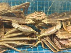 -震海贝烤贝·民俗特色店(延吉总店)