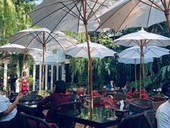 -Fern Forest Cafe