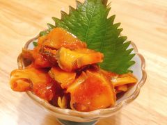 朝鲜海螺片-村上一屋·亚洲菜融合小馆(南楼店)