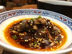 -铁公鸡·四川料理(天环广场店)