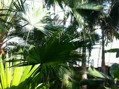 -盛泰恐龙谷温泉