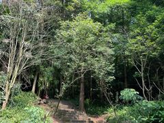 -凤栖山