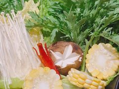 健康拼盘-原牛道·潮汕围炉火锅(讯美店)