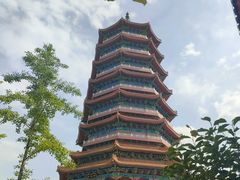 -金城公园