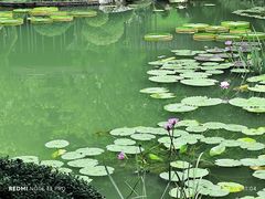 -云溪植物园