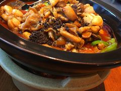 黑松露牛肝菌焖牛蛙-云海肴·汽锅鸡·云南菜(苏州中心店)