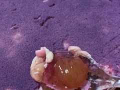 -好利来(二纬路店)