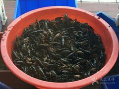 -红桃K虾王·小龙虾·烧烤·火锅(红星路店)