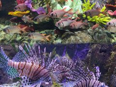 -太平洋海底世界