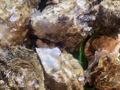 -鑫海汇海鲜烤肉自助(北国商城店)
