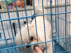 -猫爷宠物生活馆·撸猫馆