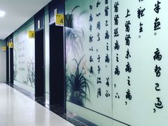 -上海市杨浦区中医医院