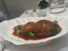 -丁老爷子苏香圆