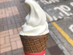 -富豪雪糕车流动点(尖沙咀店)