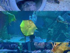 -海合安成都极地海洋公园