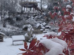 -莲花池公园