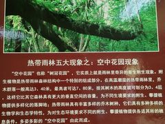 -呀路古热带植物园