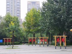 -木塔寺遗址生态公园