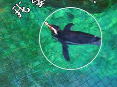 -上海野生动物园