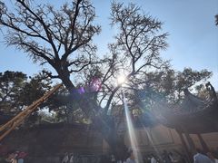 -惠山古镇·寄畅园