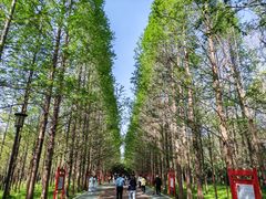 -禹州森林植物园