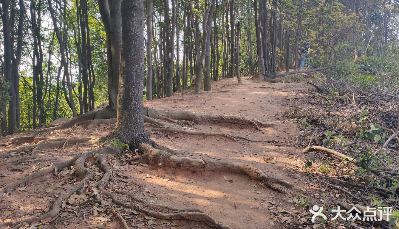六片山