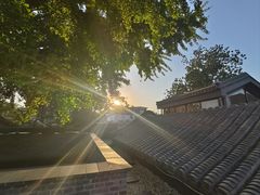-自如ZSPACE四合院艺术餐厅
