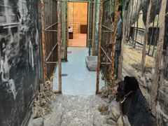 -北京动物园-畅观楼