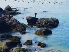 -枸杞岛